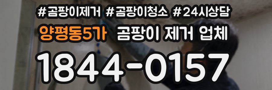 양평동5가 곰팡이 제거 업체