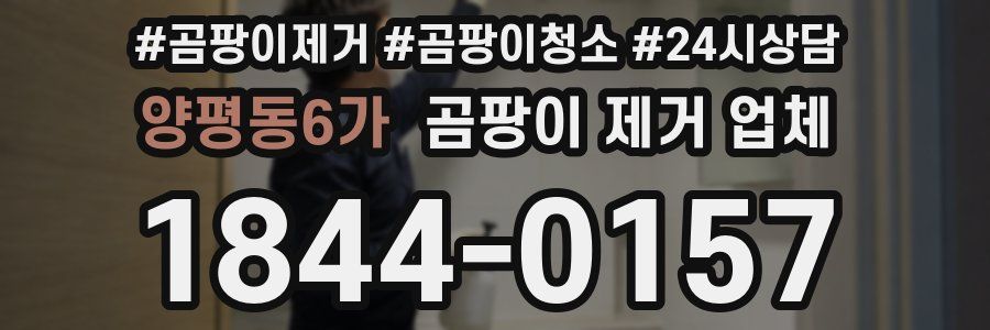 양평동6가 곰팡이 제거 업체