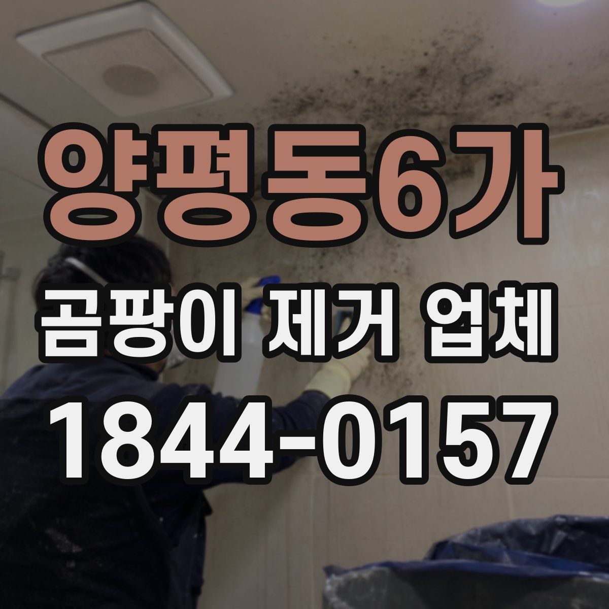 양평동6가 곰팡이 제거 업체