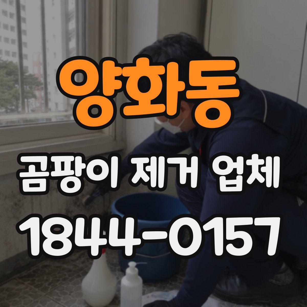 양화동 곰팡이 제거 업체
