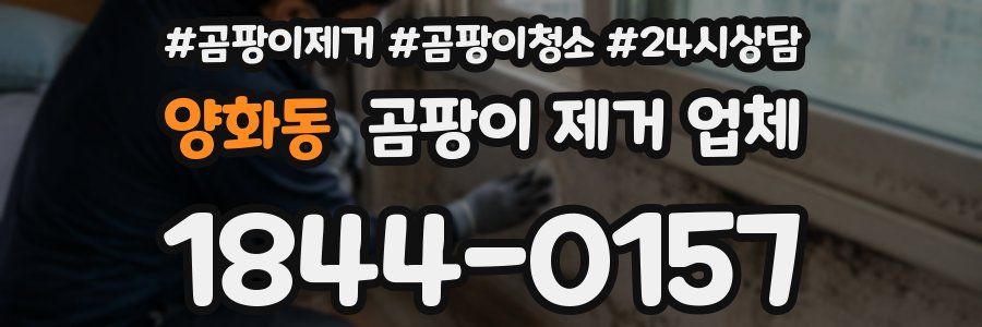 양화동 곰팡이 제거 업체