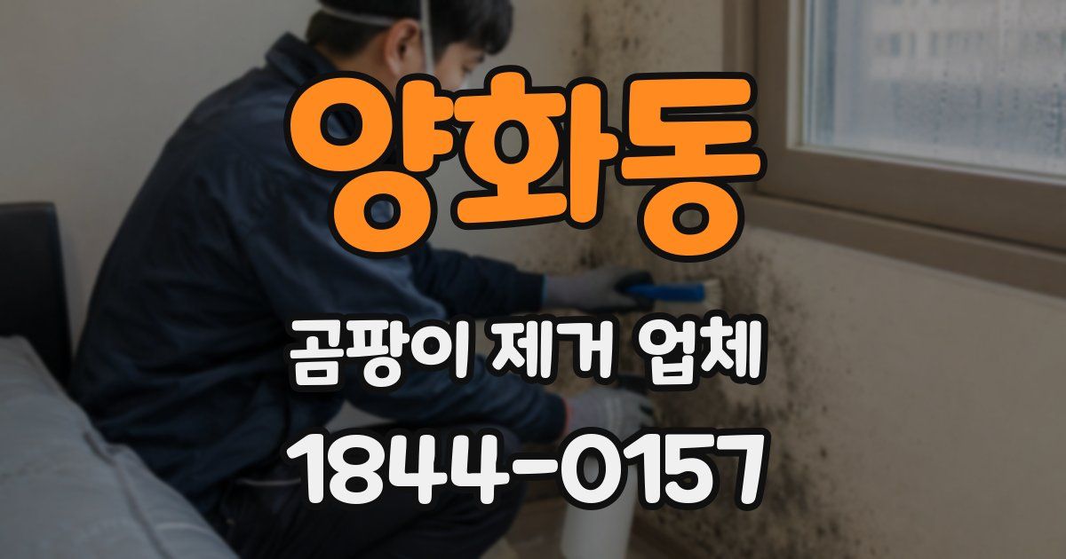 양화동 곰팡이 제거 업체