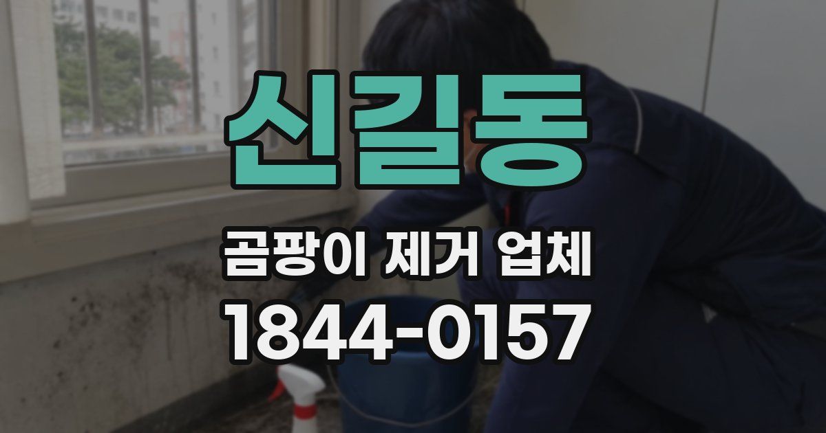 신길동 곰팡이 제거 업체