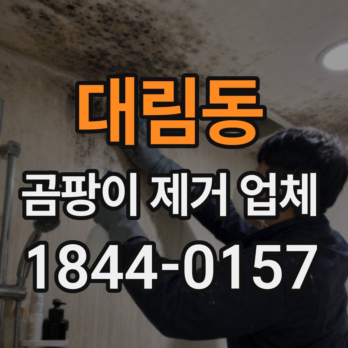 대림동 곰팡이 제거 업체