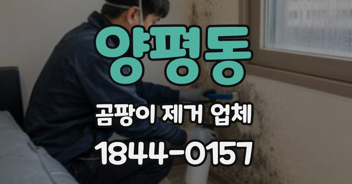 양평동 곰팡이 제거 업체