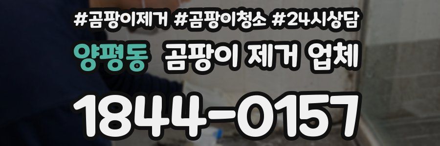 양평동 곰팡이 제거 업체