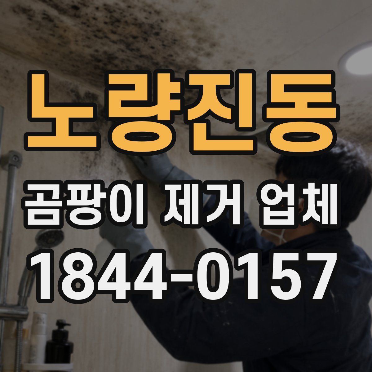 노량진동 곰팡이 제거 업체