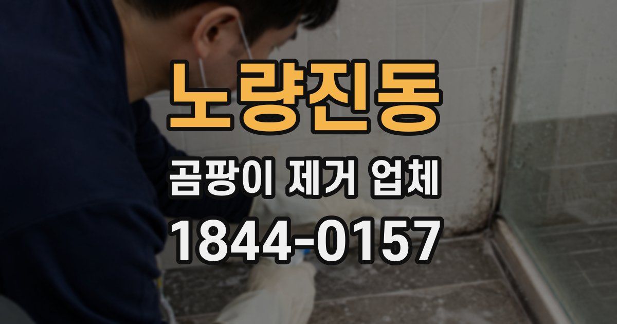 노량진동 곰팡이 제거 업체