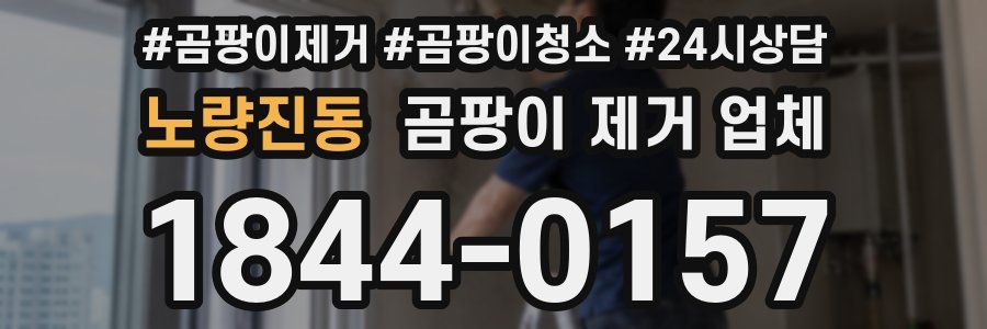 노량진동 곰팡이 제거 업체