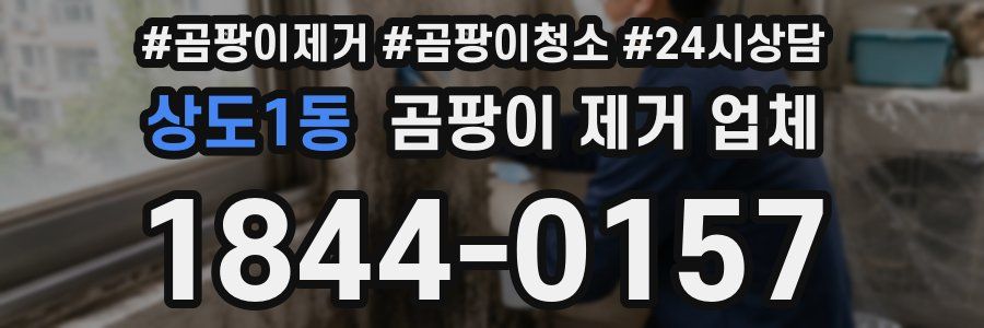 상도1동 곰팡이 제거 업체