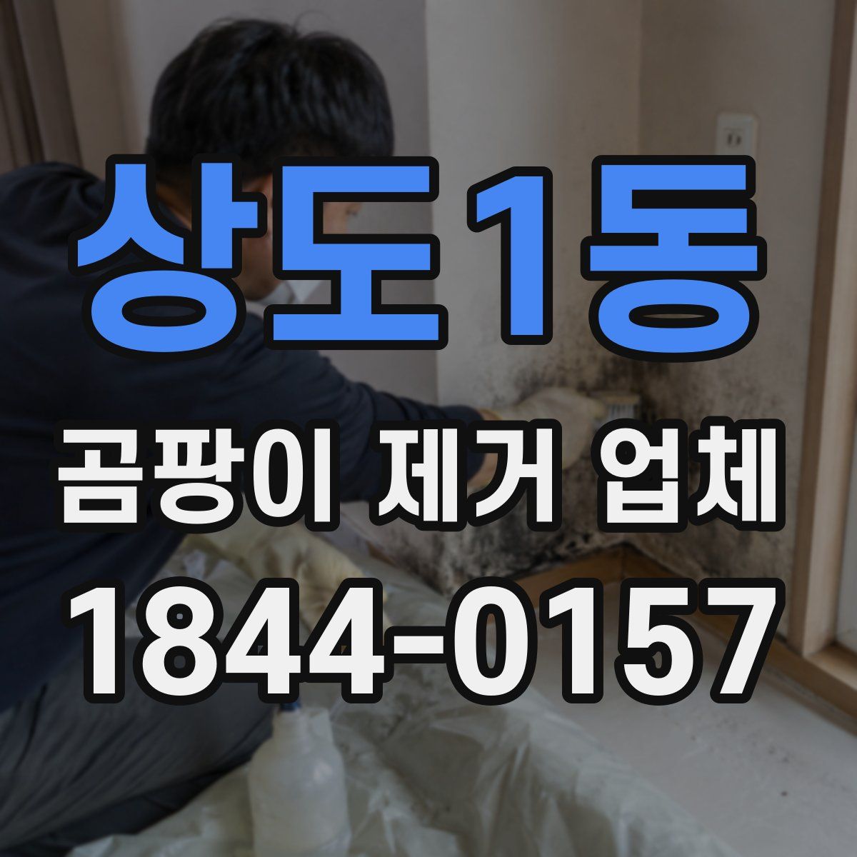 상도1동 곰팡이 제거 업체