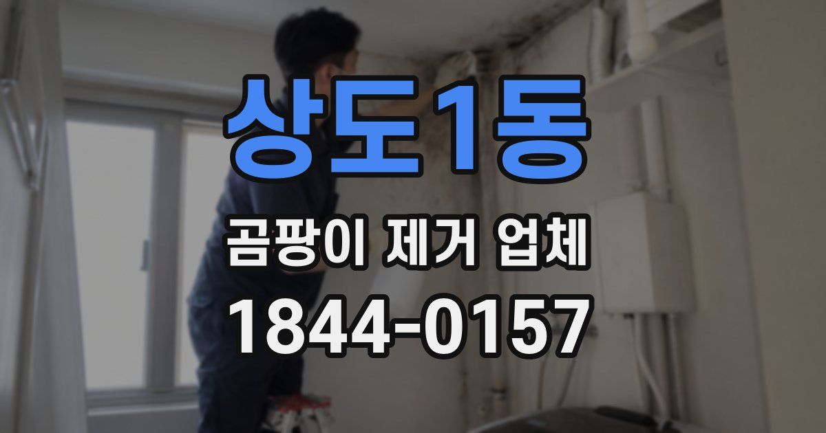 상도1동 곰팡이 제거 업체
