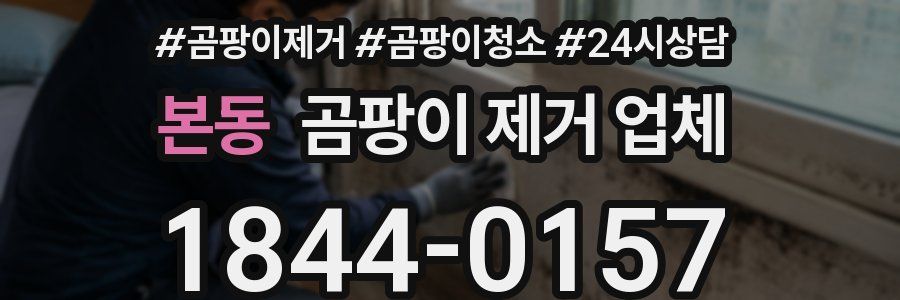 본동 곰팡이 제거 업체