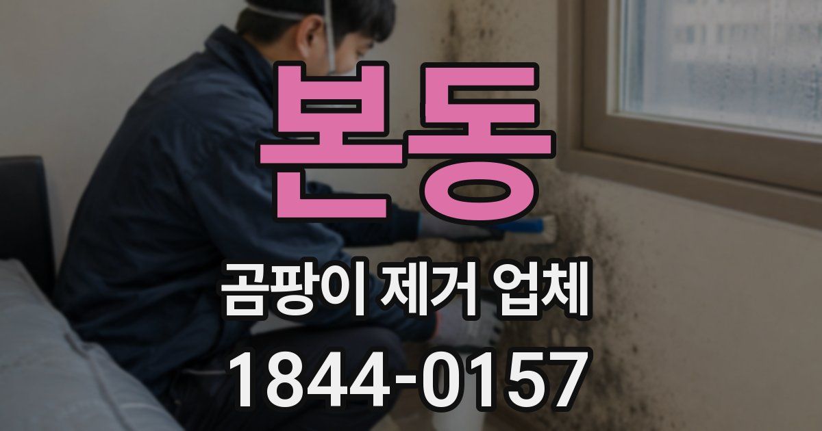 본동 곰팡이 제거 업체