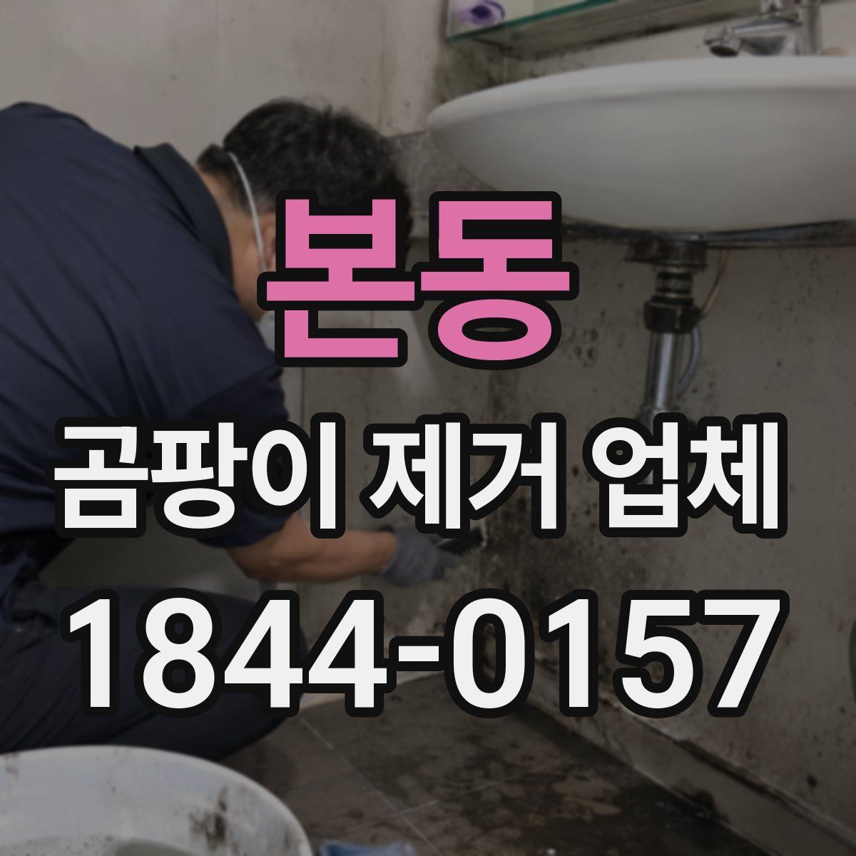 본동 곰팡이 제거 업체
