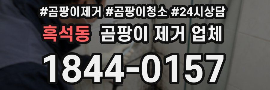 흑석동 곰팡이 제거 업체
