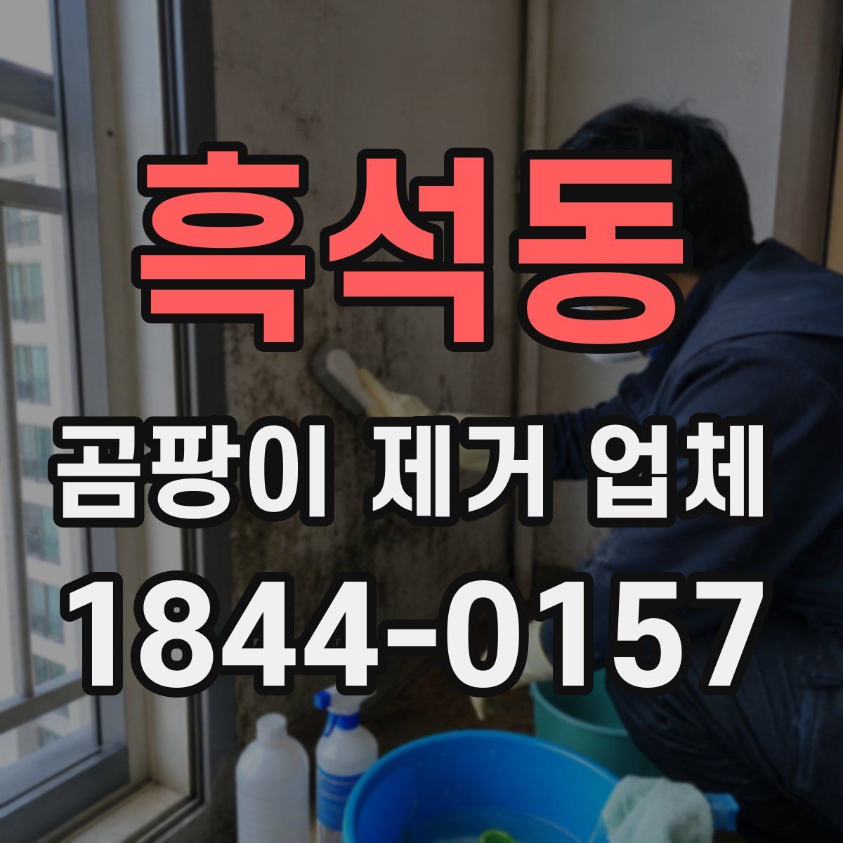 흑석동 곰팡이 제거 업체