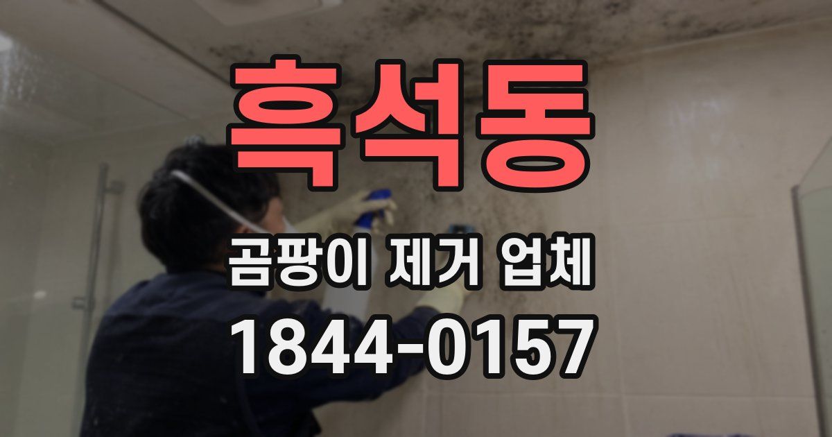 흑석동 곰팡이 제거 업체