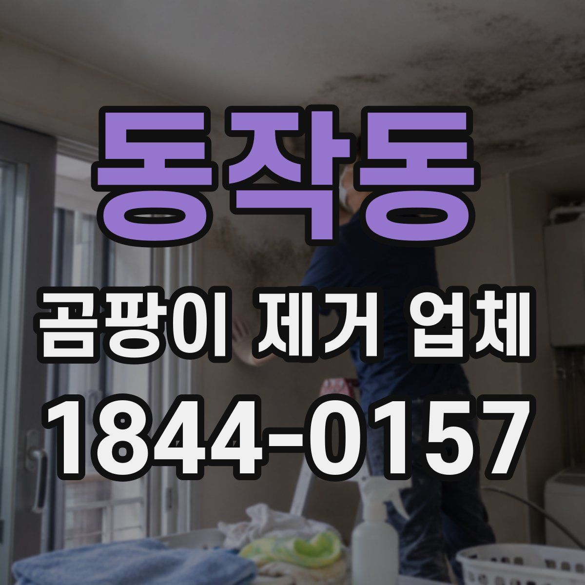 동작동 곰팡이 제거 업체