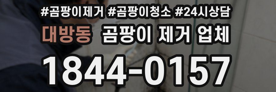 대방동 곰팡이 제거 업체