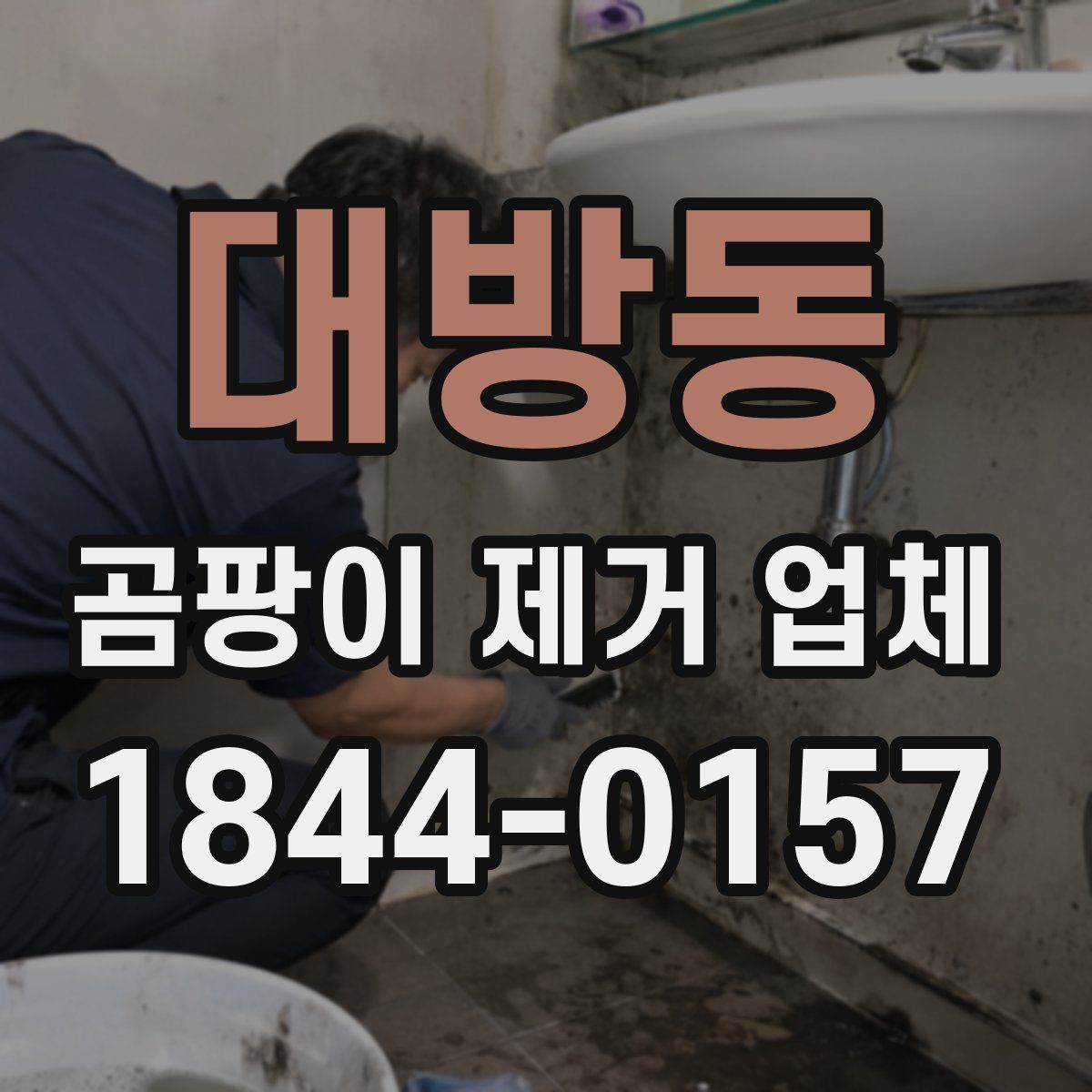 대방동 곰팡이 제거 업체