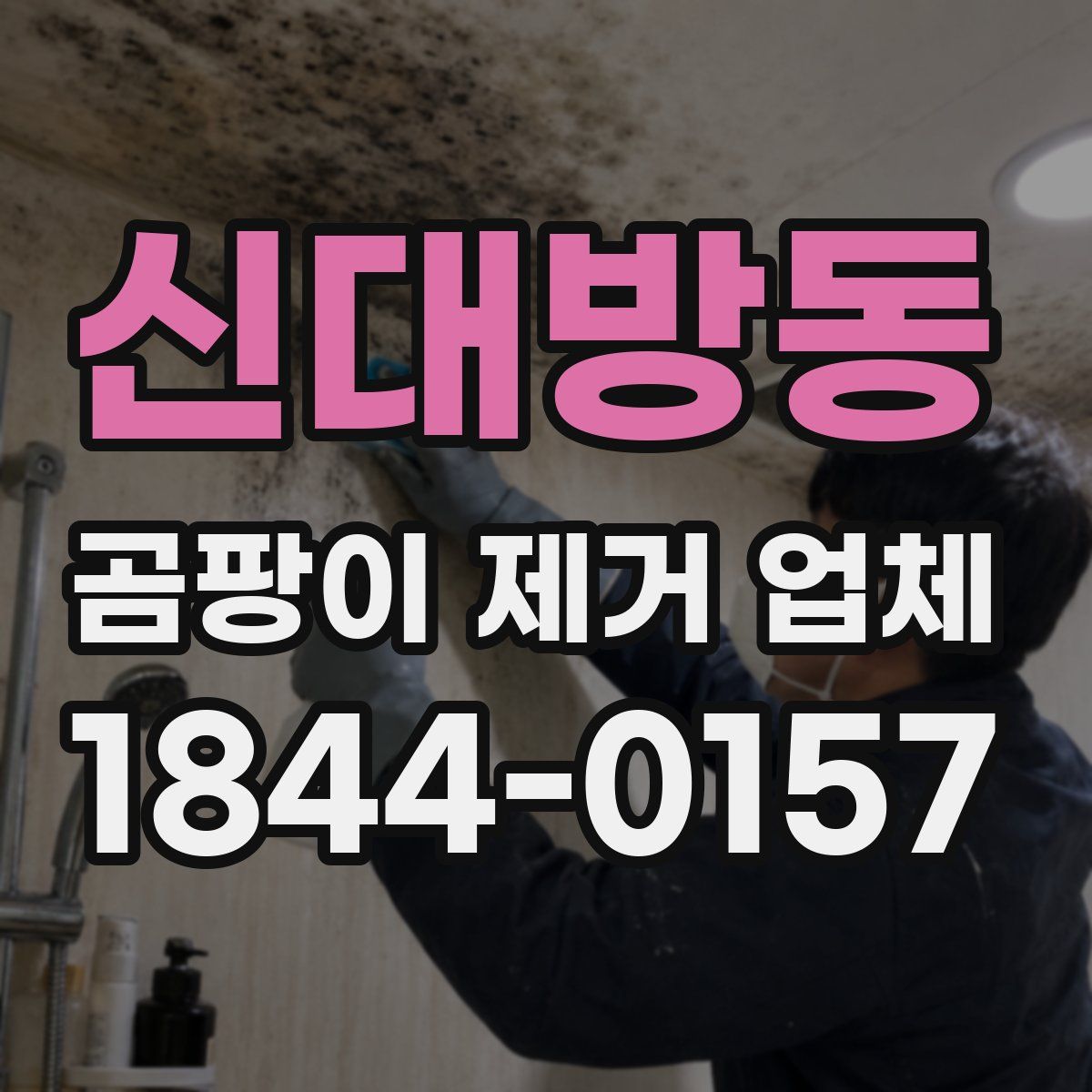 신대방동 곰팡이 제거 업체