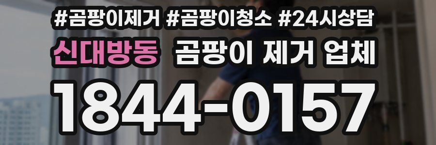 신대방동 곰팡이 제거 업체