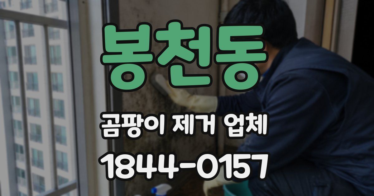 봉천동 곰팡이 제거 업체