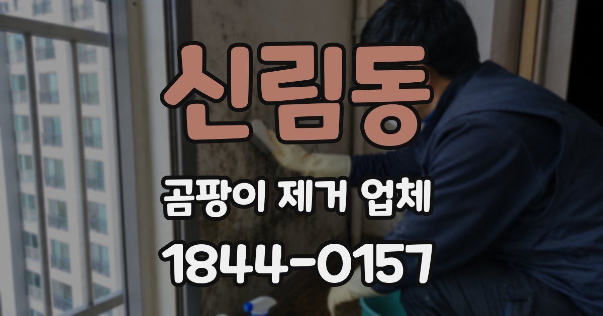 신림동 곰팡이 제거 업체