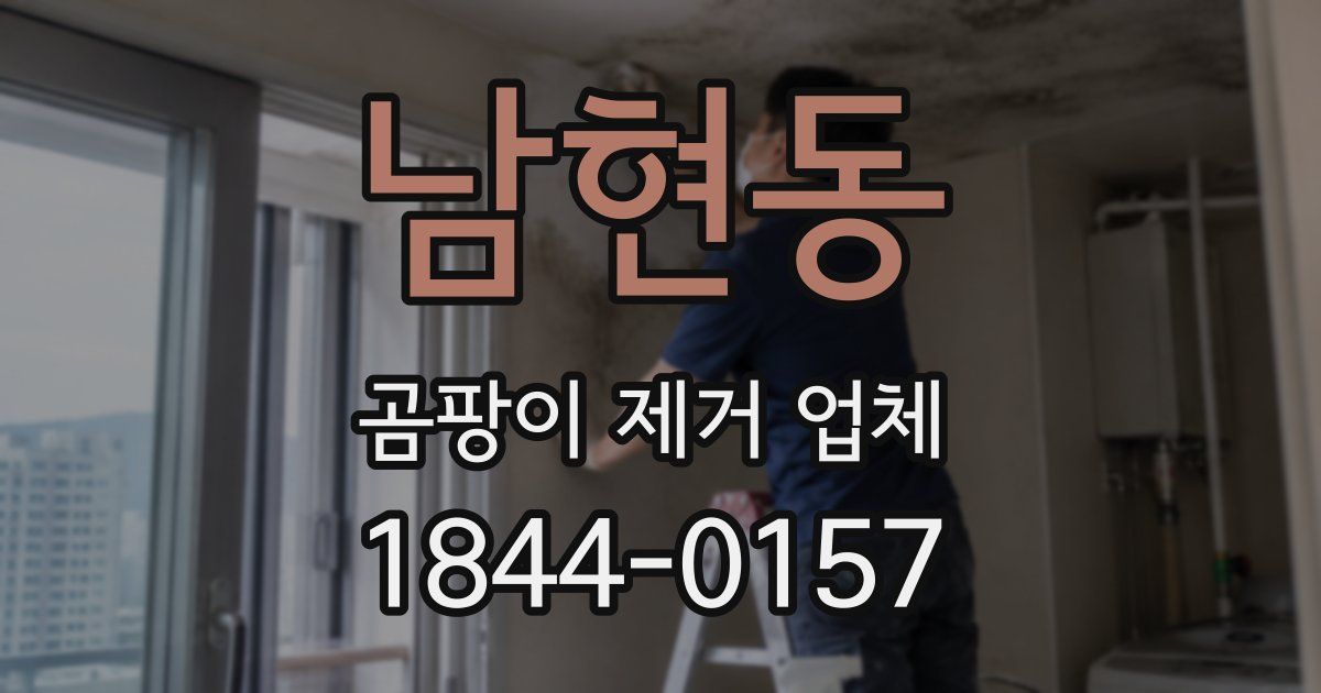 남현동 곰팡이 제거 업체