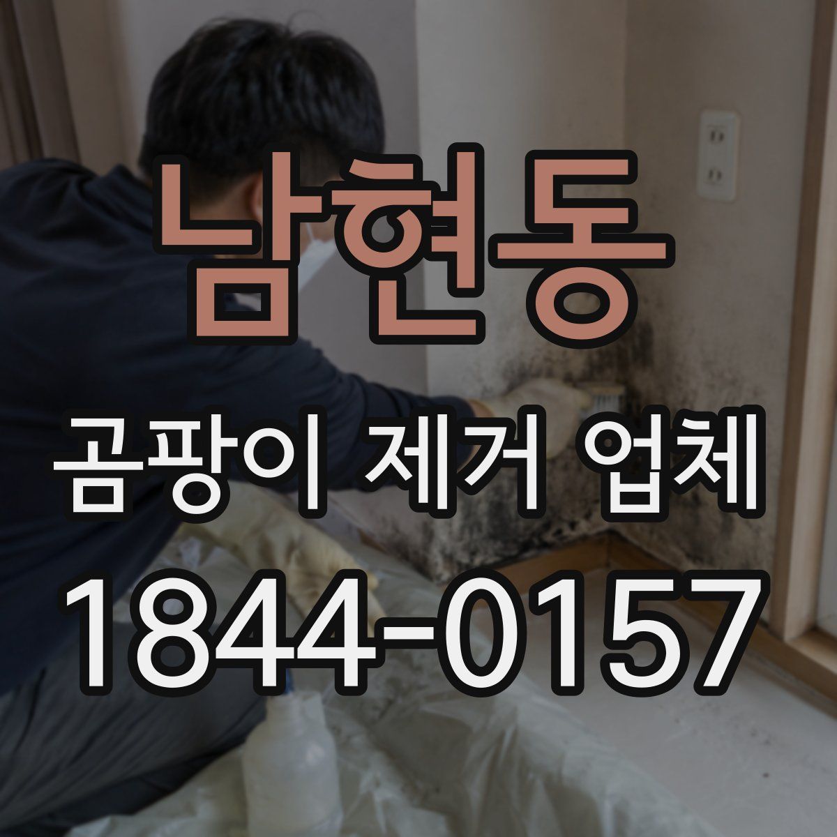 남현동 곰팡이 제거 업체