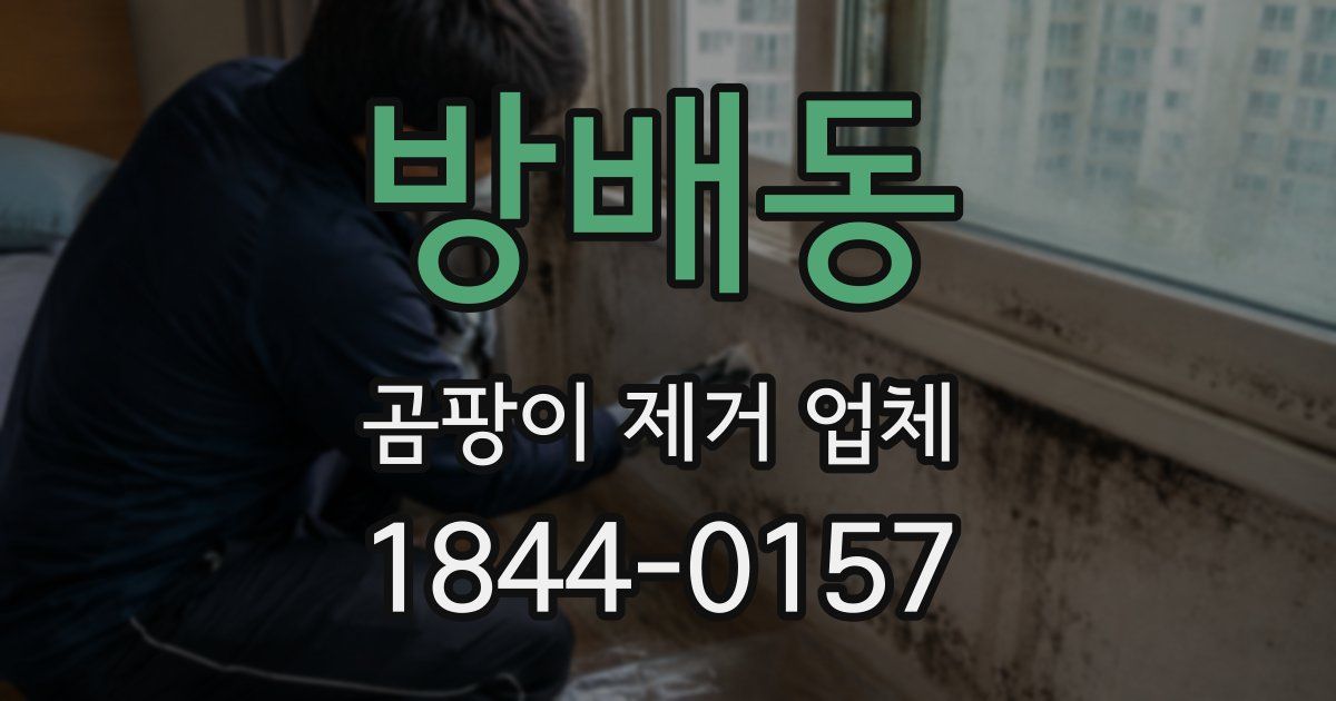 방배동 곰팡이 제거 업체