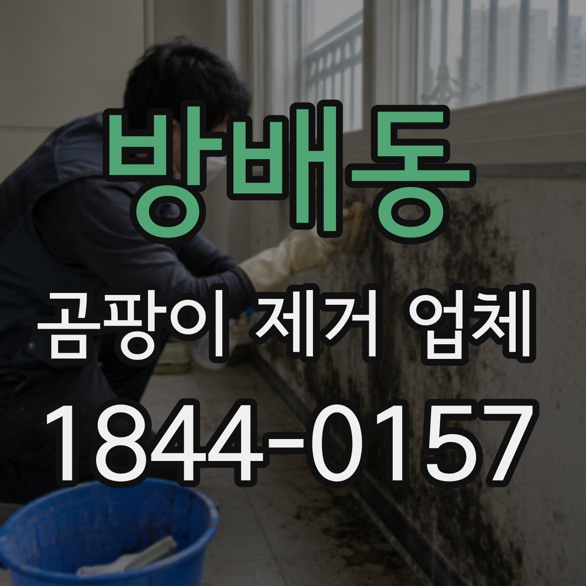 방배동 곰팡이 제거 업체