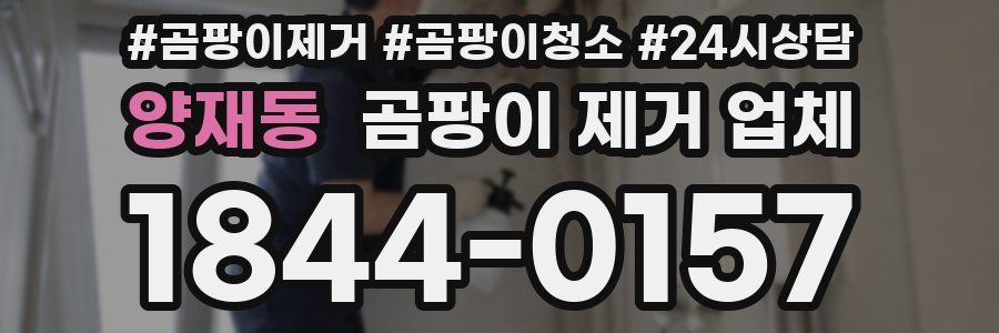 양재동 곰팡이 제거 업체