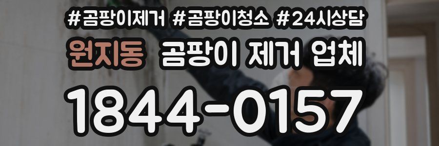 원지동 곰팡이 제거 업체