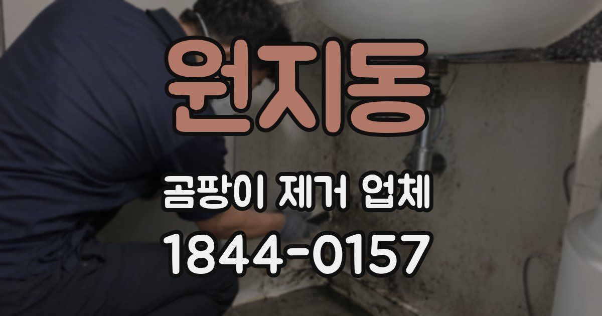 원지동 곰팡이 제거 업체