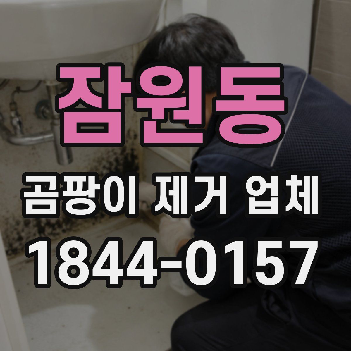 잠원동 곰팡이 제거 업체