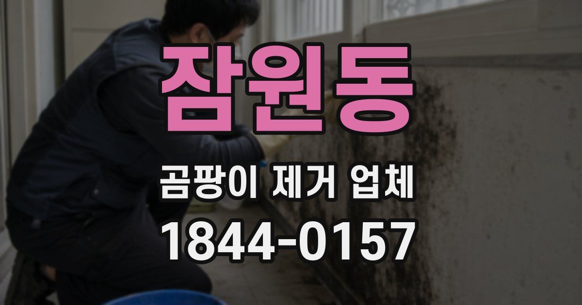 잠원동 곰팡이 제거 업체