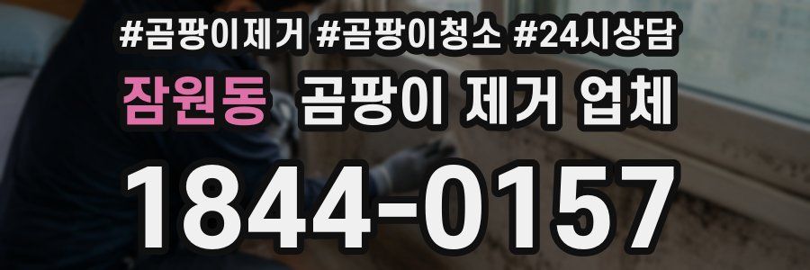 잠원동 곰팡이 제거 업체
