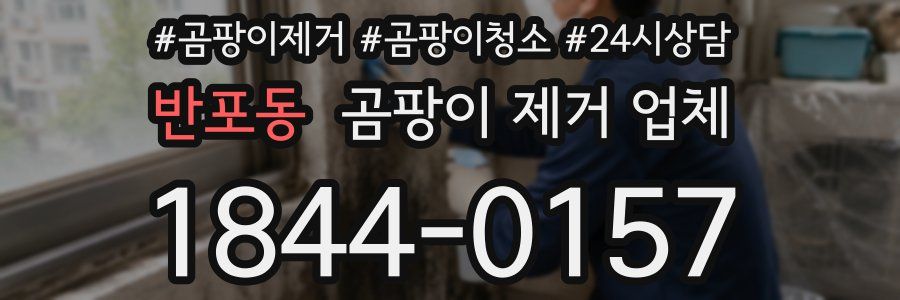 반포동 곰팡이 제거 업체