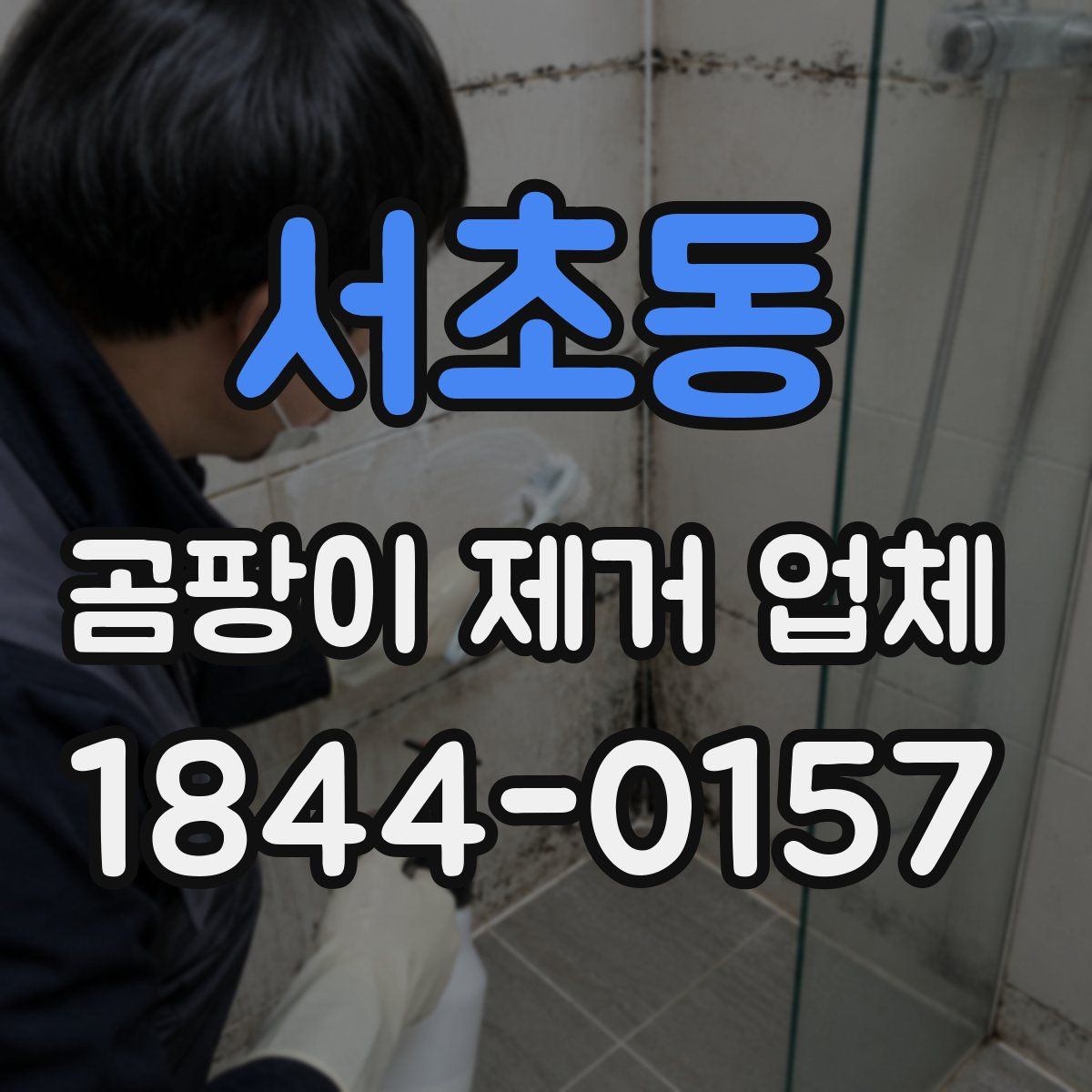 서초동 곰팡이 제거 업체