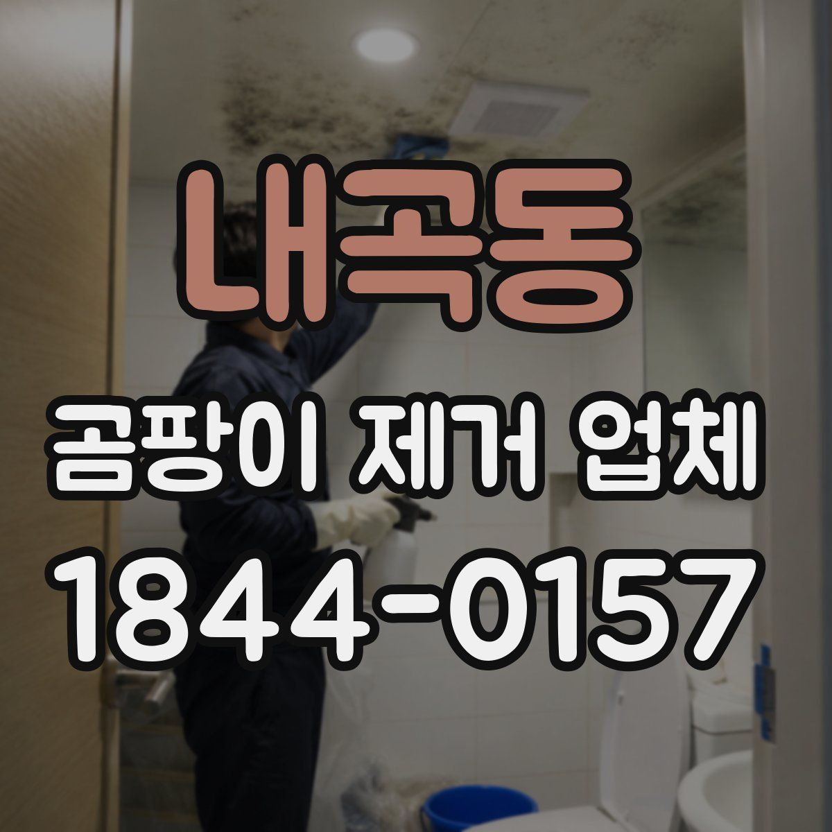 내곡동 곰팡이 제거 업체