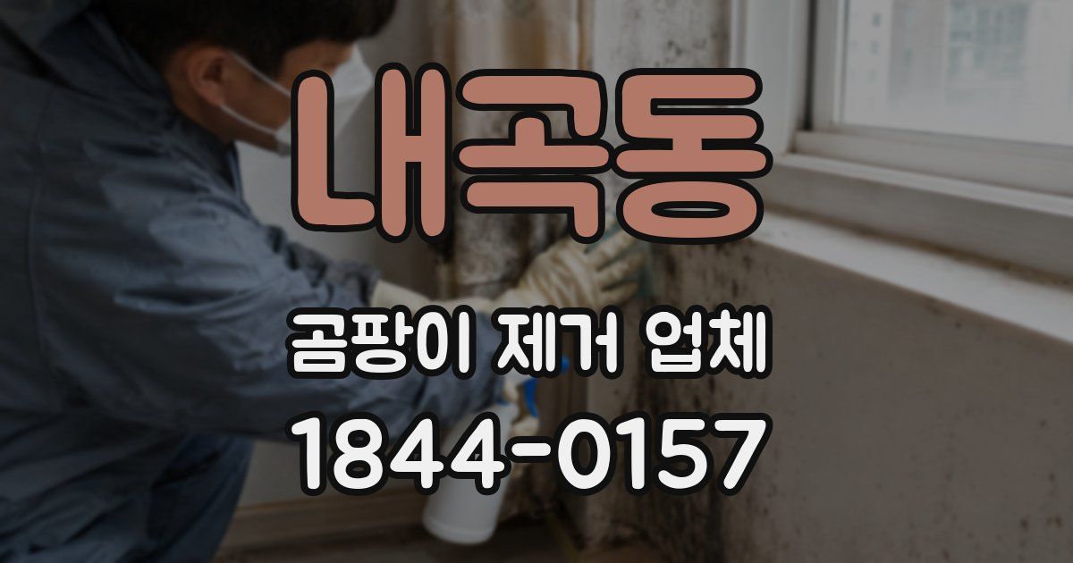 내곡동 곰팡이 제거 업체