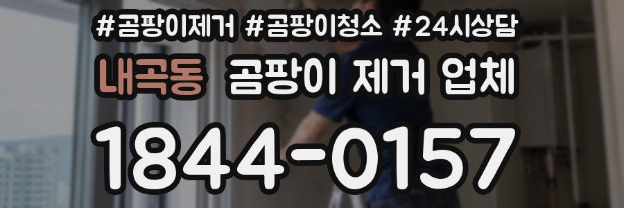 내곡동 곰팡이 제거 업체
