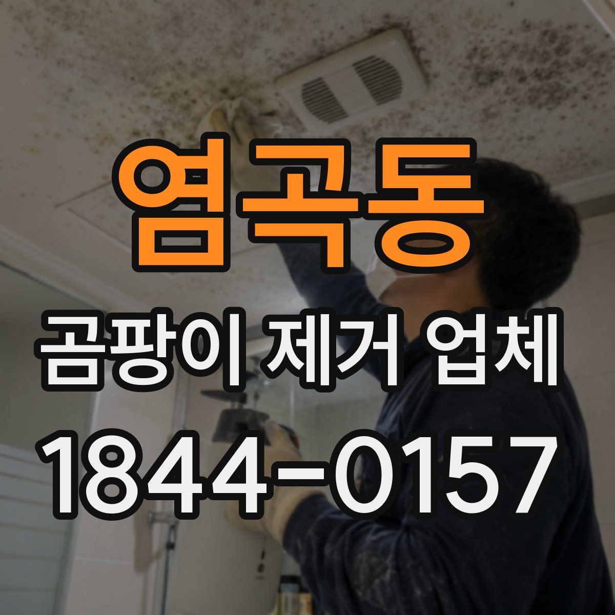 염곡동 곰팡이 제거 업체