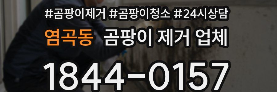 염곡동 곰팡이 제거 업체