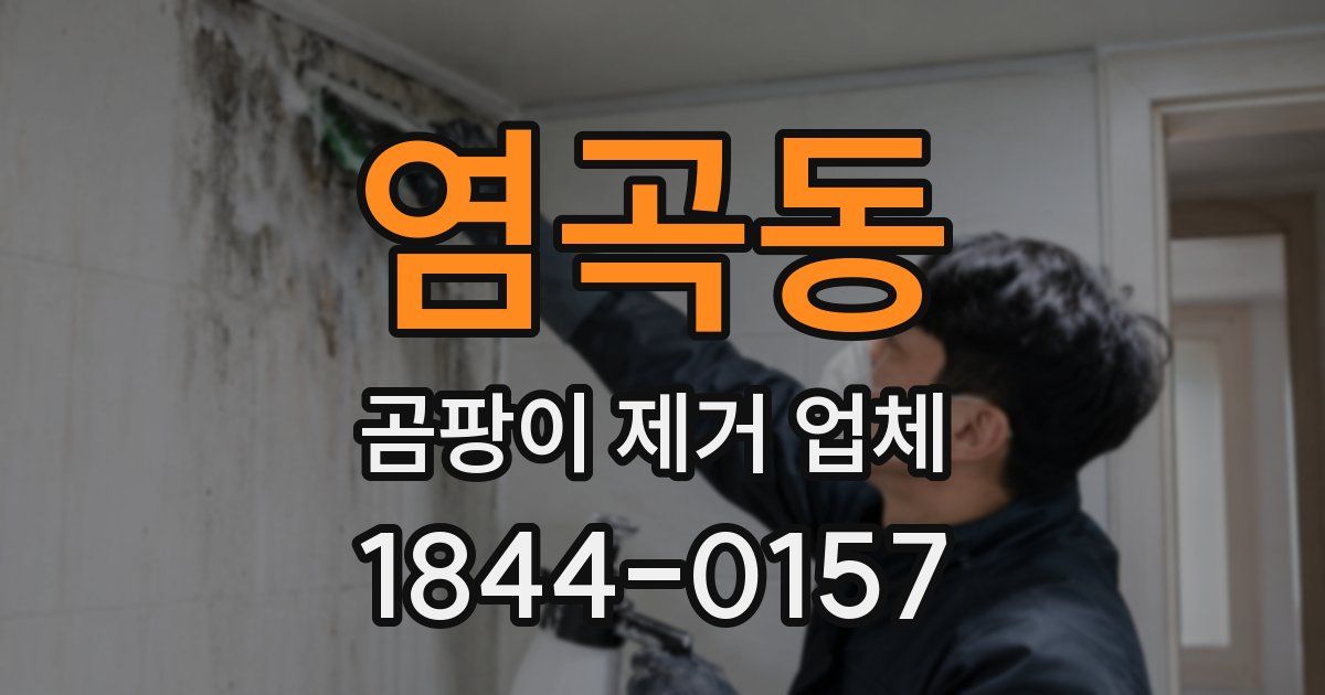 염곡동 곰팡이 제거 업체