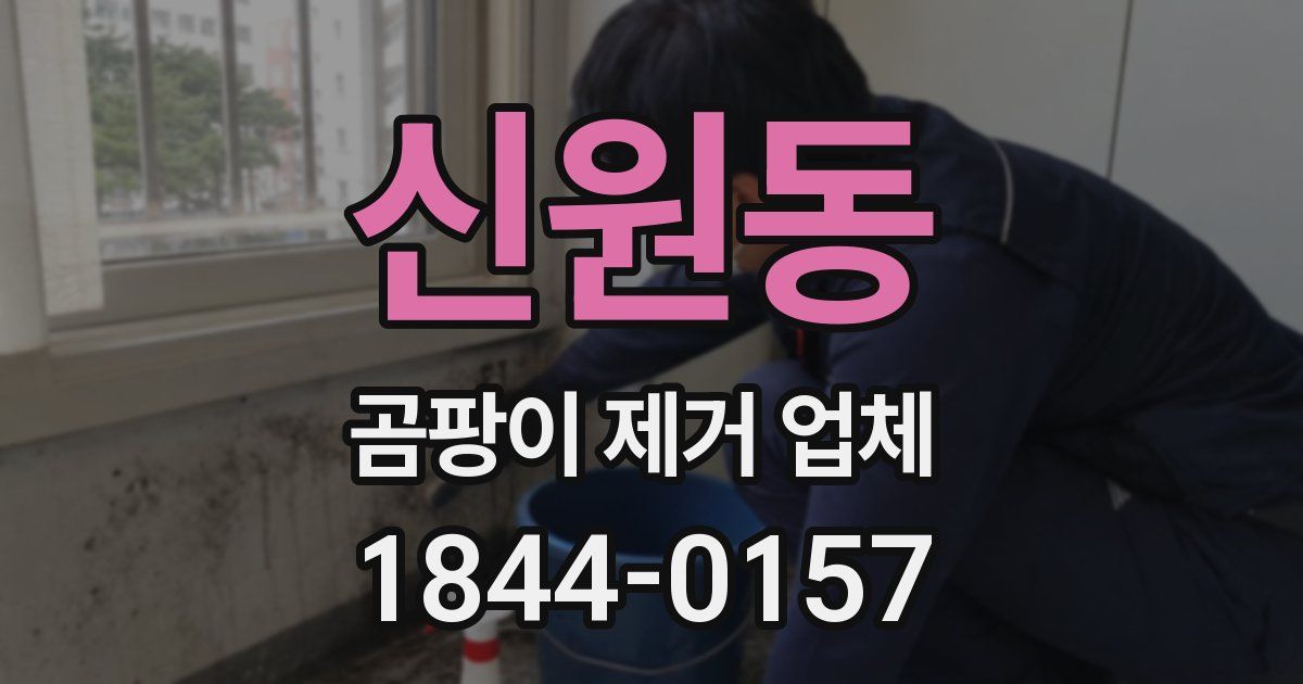 신원동 곰팡이 제거 업체