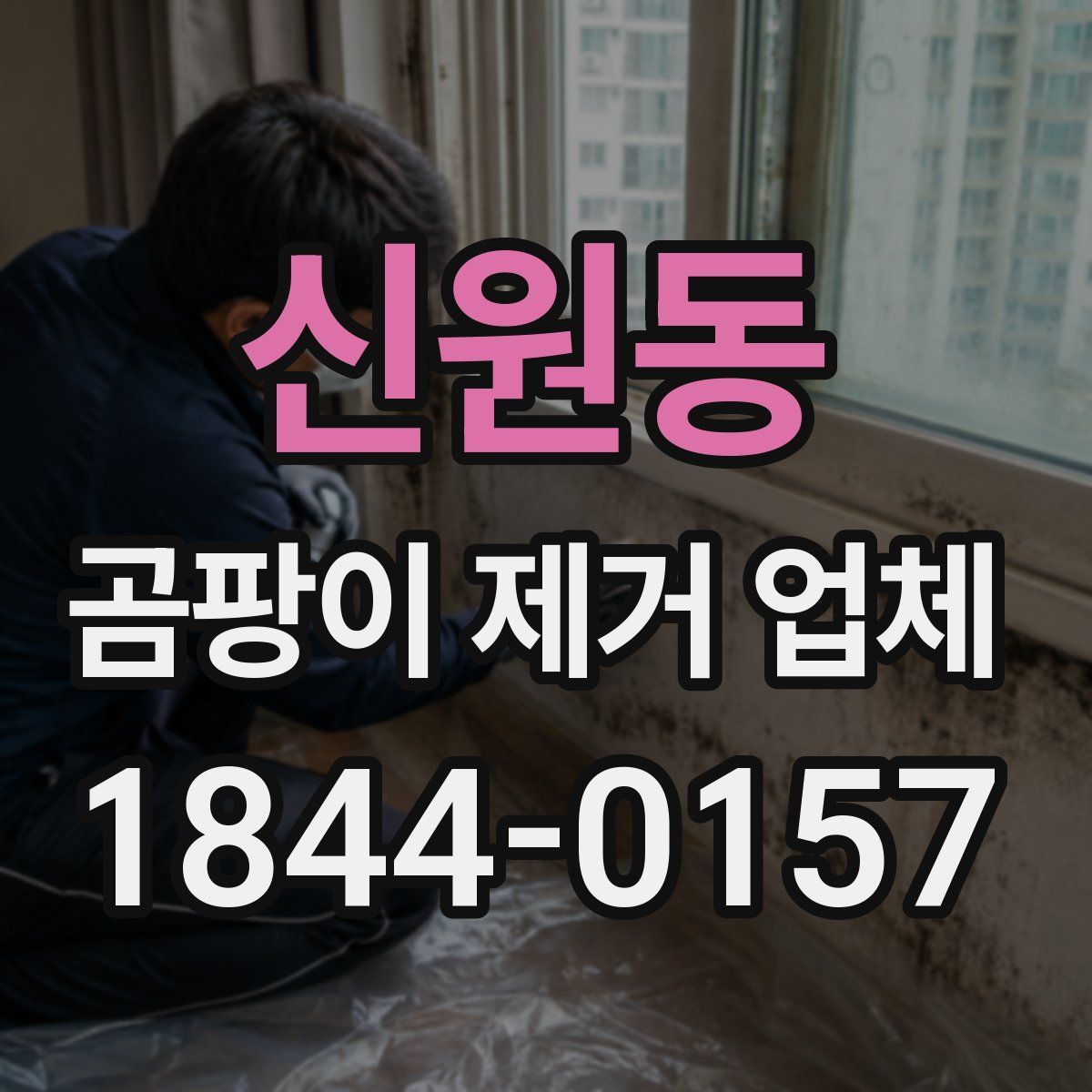 신원동 곰팡이 제거 업체