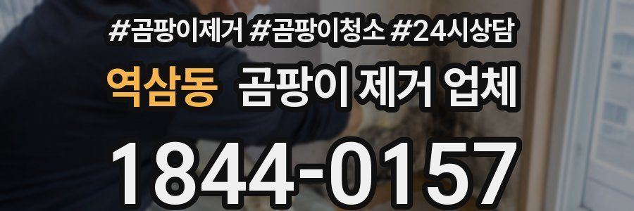 역삼동 곰팡이 제거 업체